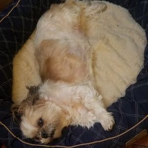 Meet your Posher, Imelda